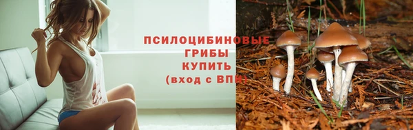 СК Волоколамск