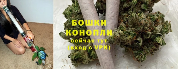 СК Волоколамск