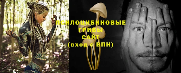 2c-b Верхнеуральск