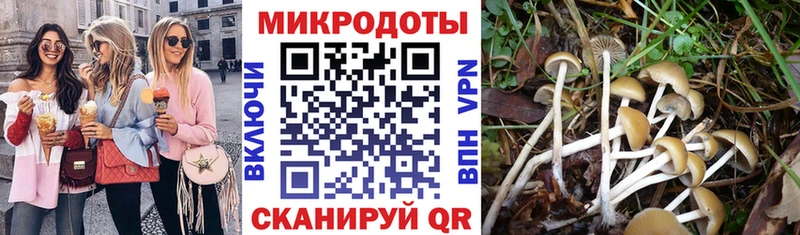 Галлюциногенные грибы ЛСД  МЕГА зеркало  Каспийск 
